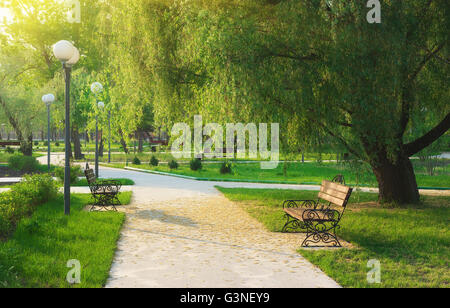 Morgen im Park. Natur-Komposition. Stockfoto