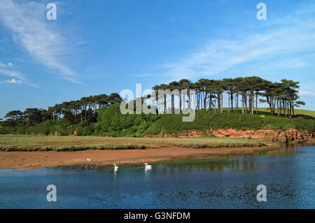 England, Devon, Budleigh Salterton, Mündung des River Otter Stockfoto