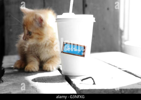 Guten Morgen Inschrift, Kaffee und Kätzchen Stockfoto