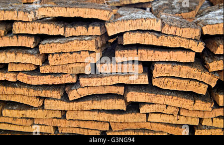 Verarbeitete Rinde der Korkeiche (Quercus Suber) Stockfoto