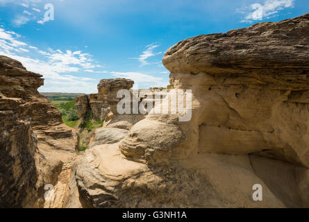 Felsformationen aus Sandstein und Hoodoos schriftlich auf Stein Provincial Park, Alberta, Kanada Stockfoto