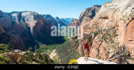 Wanderer am Aussichtspunkt, Angels Landing, Zion Canyon, Zion Nationalpark, Utah, USA Stockfoto