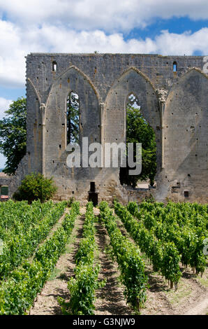 Weingut Château Les Grandes Mauern, Saint-Émilion, Gironde Bordeaux, Frankreich, Europa Stockfoto