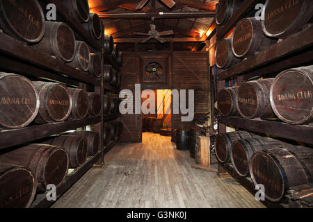 Rum-Museum, Havana Club, historic Centre, Havanna, Kuba Stockfoto