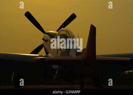 P - 51D Mustang, rote Rute, Tuskegee Airmen, Stockfoto