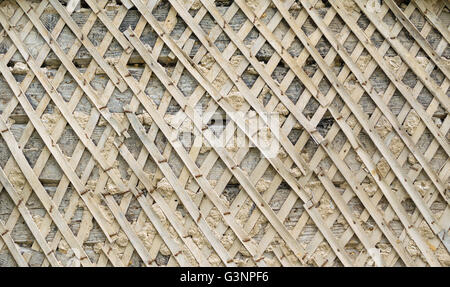 Leiste der Schindeln für die Anwendung des Putzes auf der Wand Hintergrundtextur. Stockfoto