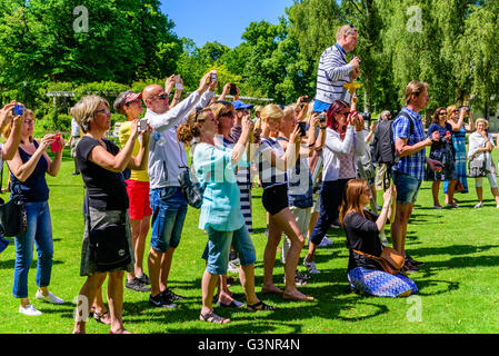 Ronneby, Schweden - 6. Juni 2016: Der schwedische Nationalfeiertag im öffentlichen Park. Viele Menschen nehmen Fotos, wenn die Stockfoto