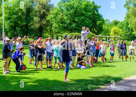 Ronneby, Schweden - 6. Juni 2016: Der schwedische Nationalfeiertag im öffentlichen Park. Viele Menschen nehmen Fotos, wenn die Stockfoto