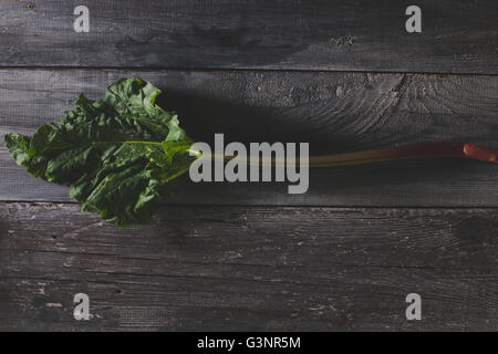 Organische Pieplant auf alten Holztisch liegend Stockfoto