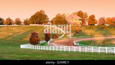 Kentucky-Reiterhof mit einem weißen Zaun geschwungene vor einem großen Haus in der Nähe von Lexington, KY, USA Stockfoto