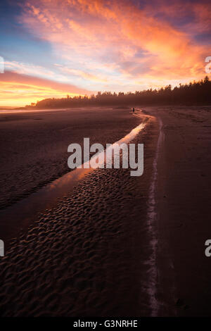 Dramatischen Sonnenuntergang mit pink, orange und blaue Farben auf Chesterman Beach, Tofino, Vancouver Island, British Columbia, Kanada Stockfoto