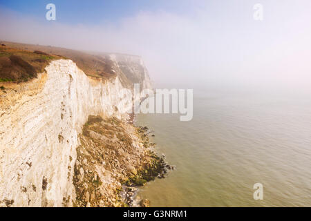 Die weißen Klippen von Dover an einem schönen nebligen Morgen, von oben fotografiert. Stockfoto