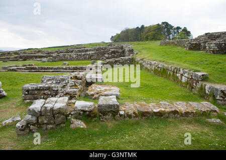 Housesteads Roman Fort am Hadrianswall, Northumberland, England, UK Stockfoto