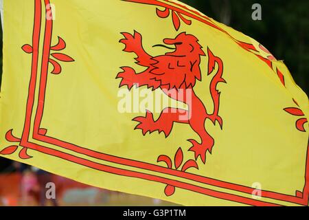 Schottische königliche Standarte Flagge. Lion Rampant Stockfoto