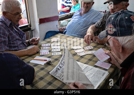 Eine Gruppe von mittleren Alter Männer spielen Karten und überprüfen Sie die Pferderennen Ergebnisse in einem Café in Istanbul, Türkei Stockfoto