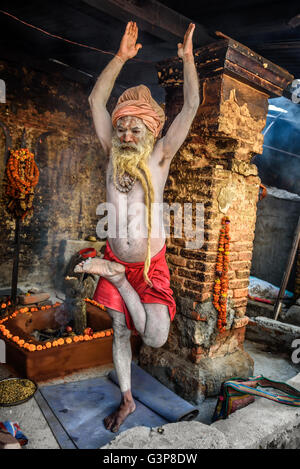 Shaiva Sadhu (Heiliger) mit traditionellen langen Bart Übungen in Pashupatinath Tempel Stockfoto