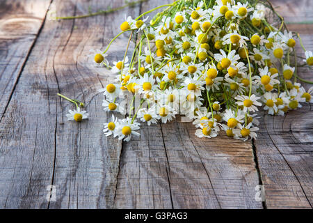 Kamille Blumenstrauß auf hölzernen Hintergrund Stockfoto