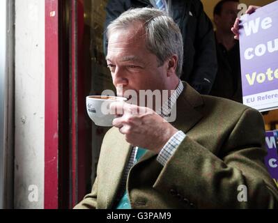 Die UKIP Führer Nigel Farage Schlucke Kaffee im nahe gelegenen Café Moulin Rouge während seiner Partei Referendum Austritt Schlacht Busausflug in Kingston, London. Stockfoto