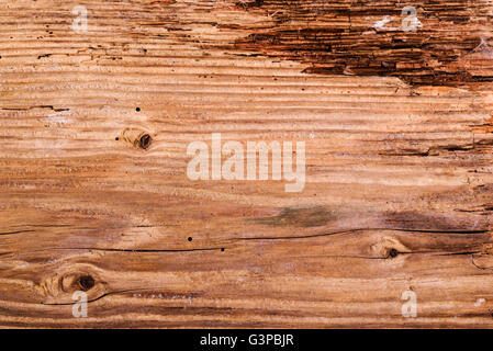 Teilweise verrottete, rissige Holz Detail. Stockfoto