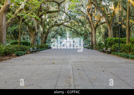 Gehweg unter südlichen Eichen auf dem Brunnen im Forsyth Park, Savannah, Georgia Stockfoto