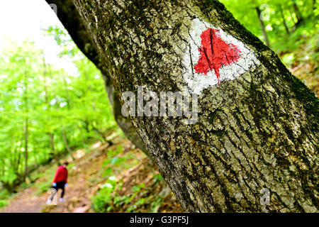 Rotes Dreieck Farbe Kennzeichnung an einem Baum mit Wanderer auf den Spuren Wandern Stockfoto