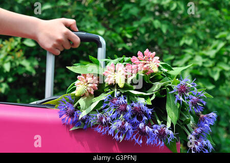 Hand-Mädchen mit einem rosa Koffer und Wildblumen Stockfoto