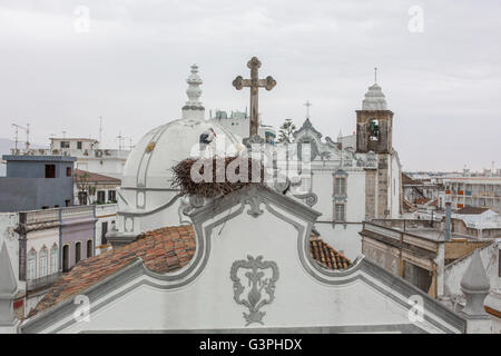 Storch im Nest auf dem Dach einer Kirche, Olhao, Faro, Algarve, Portugal, Europa, EU Stockfoto