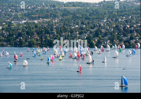 Segeln Regatta auf dem Zürichsee, Zürich, Schweiz, Europa Stockfoto