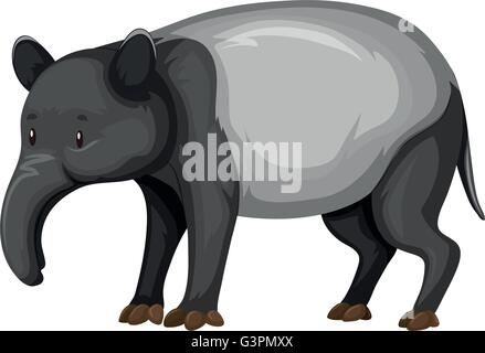 Tapir auf weißem Hintergrund illustration Stock Vektor