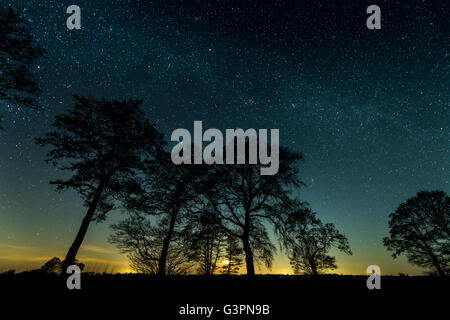 Nachthimmel über Oldenburger Land, Niedersachsen, Deutschland Stockfoto