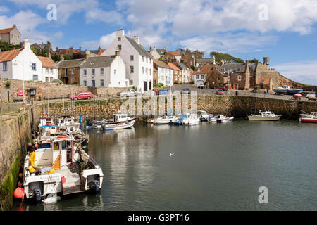 Angelboote/Fischerboote vertäut im historischen Dorf arbeiten Hafen an der Küste des Firth of Forth. Shoregate Crail East Neuk Fife Schottland, Vereinigtes Königreich Stockfoto