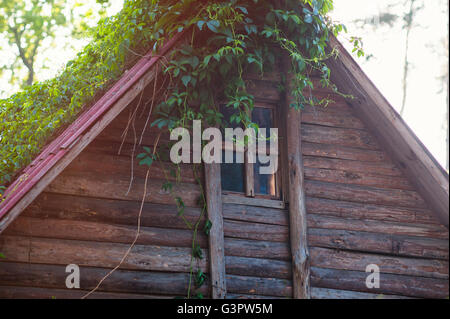 altes Holzhaus mit Fenster und Anlage auf dem Dach Stockfoto