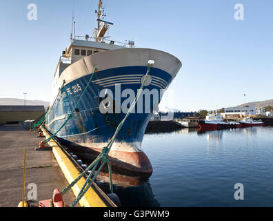 Fischkutter, Akureyri Hafen, Eyjafjordur, Akureyri, Island Stockfoto