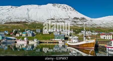 Sigulfjordur, einem kleinen Dorf im Norden von Island Stockfoto