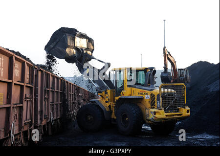 Visakhapatnam, Indien Andhra Pradesh Laden von importierter Kohle aus Australien auf Eisenbahnwaggon für den Transport zu Stahlwerken Stockfoto