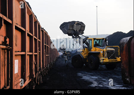 Visakhapatnam, Indien Andhra Pradesh Laden von importierter Kohle aus Australien auf Eisenbahnwaggon für den Transport zu Stahlwerken Stockfoto