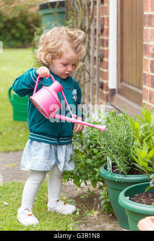 Zwei Jahre altes Kleinkind mit Gießkanne in Garten, England, Großbritannien Stockfoto