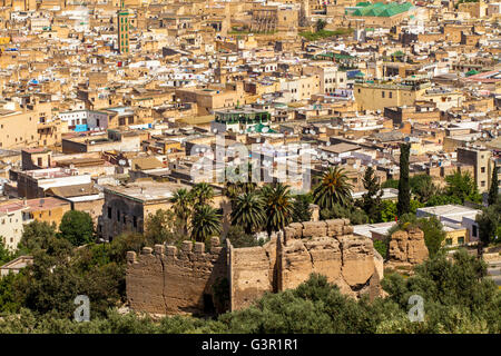 Blick auf die Stadt von Merenid Gräber (Marinid Gräber) auf dem Hügel über Fès (Fes Fas) Stadt, UNESCO-Weltkulturerbe in Marokko, Afrika Stockfoto