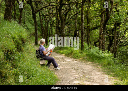 Ein Wanderer sitzen auf einem anbraten auf einen Waldweg, überprüfen ihre map Stockfoto