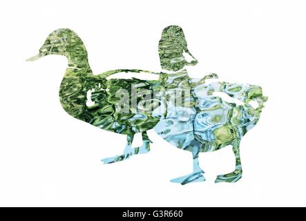 Silhouette der beiden Stockente Enten gefüllt mit gekräuselte Wasserfläche. Vektorgrafik. Natürlichen Thema. Enten-Schablone. Vögel-Thema. Cu Stock Vektor