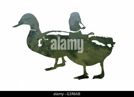 Silhouette der beiden Stockente Enten gefüllt mit gekräuselte Wasserfläche. Vektorgrafik. Natürlichen Thema. Enten-Schablone. Vögel-Thema. Cu Stock Vektor