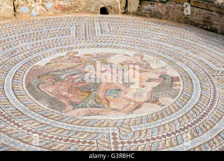 Römisches Mosaik in der Villa von Theseus, archäologische Stätte Kato Paphos, Paphos, Zypern Stockfoto