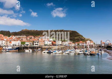 Yachten in der Marina im Hafen von Scarborough Stockfoto