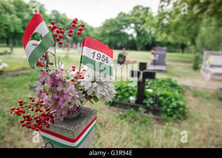 Kerepesi Friedhof Budapest, Detail der Grab eines Teilnehmers in der Ungarischen Anti-Soviet Aufstand 1956, Budapest, Ungarn. Stockfoto