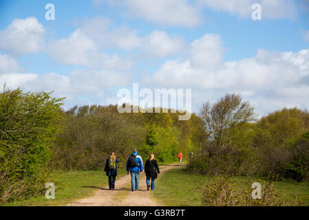 Menschen gehen an Muy Natur reservieren bei Texel-holland Stockfoto