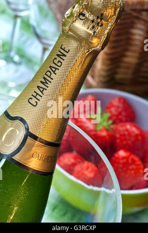 Sektflasche im Weinkühler mit Schale frischer Erdbeeren auf Picknick-Tisch mit Gläsern und Korb hinter Stockfoto