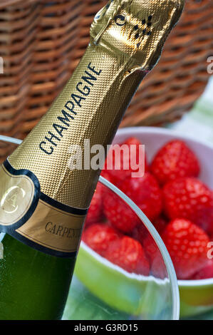 Sektflasche im Weinkühler mit Schale frischer Erdbeeren auf Picknick-Tisch mit Wicker behindern hinter Stockfoto