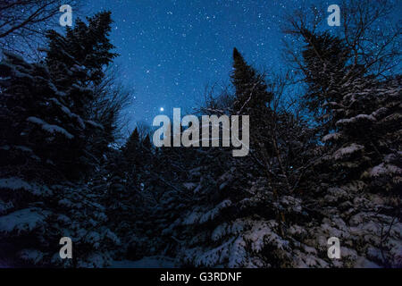 Winterzauber-Nacht in Mont-Tremblant Nationalpark, Quebec. Stockfoto