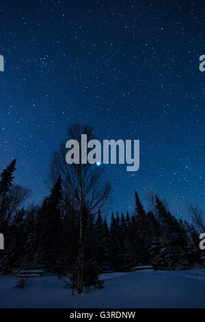 Winterzauber-Nacht in Mont-Tremblant Nationalpark, Quebec. Stockfoto