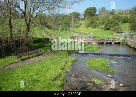 Bank neben dem klaren Wasser fließt durch Bradford Dale, Youlgreave, Derbyshire. Stockfoto